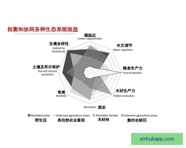 深度数据解析与专家视角结合的今日体育赛事竞猜预测全攻略实战指南